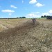 1_2014-08-17 11.56.07