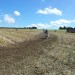 1_2014-08-17 12.03.13