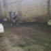 1_2015-03-01 16.37.53