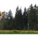 2_IMG-20150511-WA0007