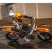 2_messe_bodenseewelt16_sonntag_226A1053