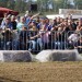 1_DSC00262