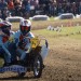 1_DSC00542