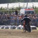 1_DSC00572