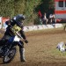 1_DSC00980